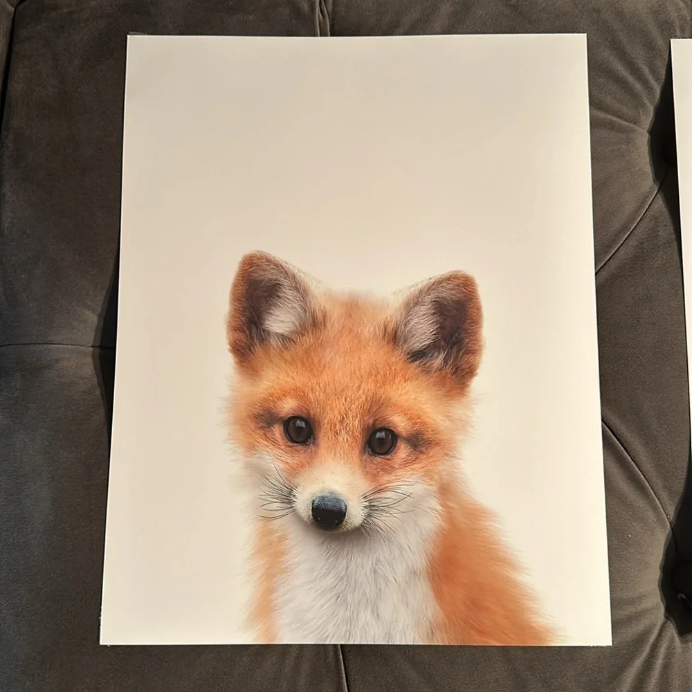 Crown prints animal pictures - Picture 2 of 9